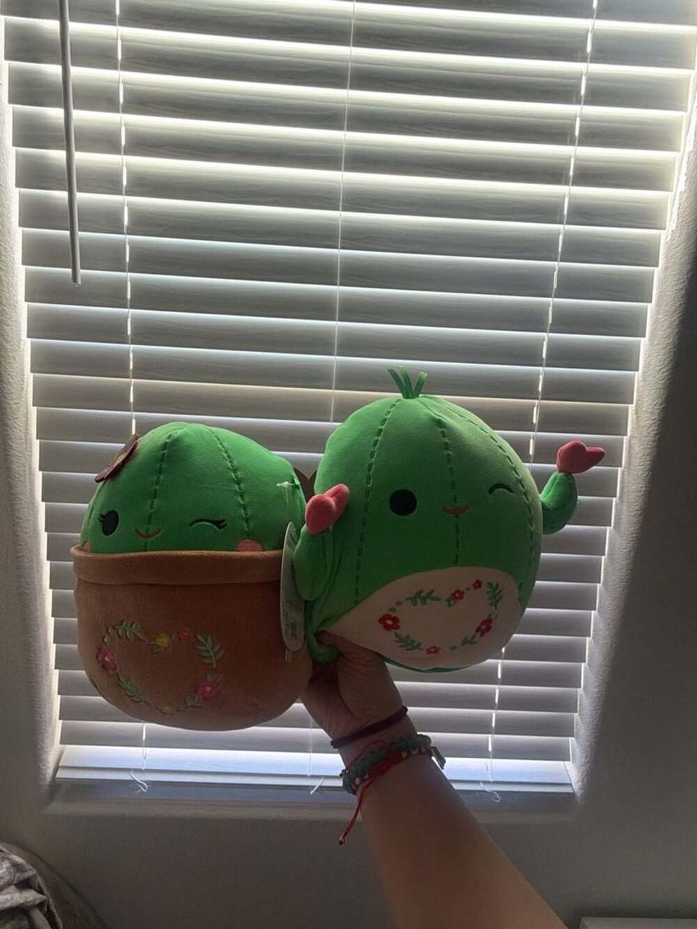 Squishmallow Shadi And Marcellus 5 Inch Cactus